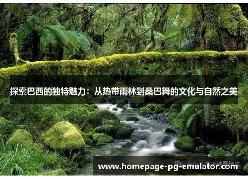 探索巴西的独特魅力：从热带雨林到桑巴舞的文化与自然之美