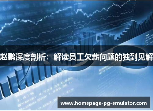 赵鹏深度剖析:解读员工欠薪问题的独到见解 赵鹏深度剖析:解读员工欠薪问题的独到见解