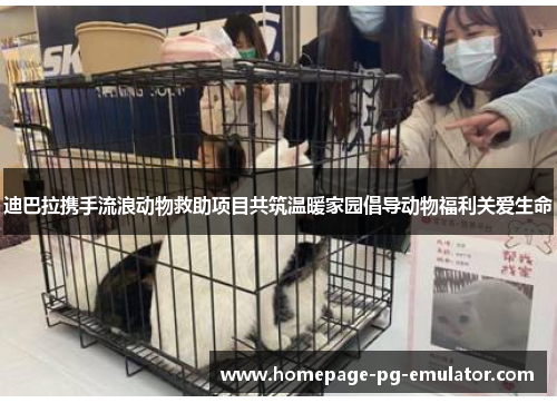 迪巴拉携手流浪动物救助项目共筑温暖家园倡导动物福利关爱生命