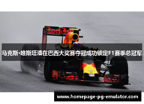 马克斯·维斯塔潘在巴西大奖赛夺冠成功锁定F1赛季总冠军 马克斯·维斯塔潘在巴西大奖赛夺冠成功锁定F1赛季总冠军