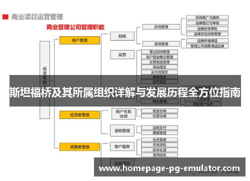斯坦福桥及其所属组织详解与发展历程全方位指南 斯坦福桥及其所属组织详解与发展历程全方位指南