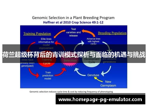 荷兰超级杯背后的青训模式探析与面临的机遇与挑战 荷兰超级杯背后的青训模式探析与面临的机遇与挑战