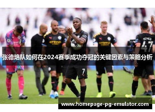 张德培队如何在2024赛季成功夺冠的关键因素与策略分析