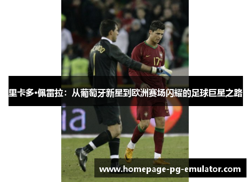 里卡多·佩雷拉：从葡萄牙新星到欧洲赛场闪耀的足球巨星之路